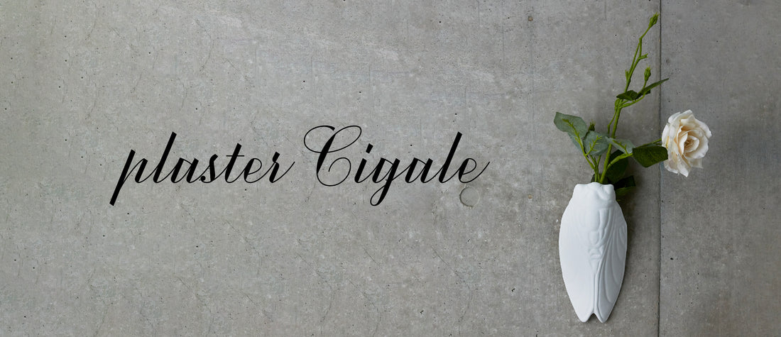 【 New Arrival 】plaster Cigale
