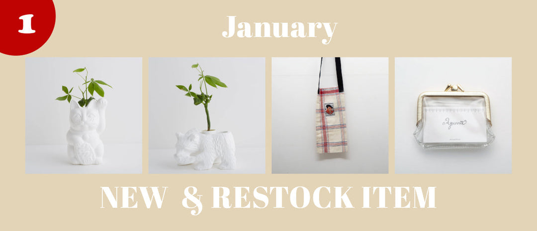 【NEW ITEM】JAN 2025