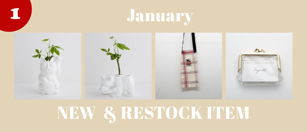 【NEW ITEM】JAN 2025
