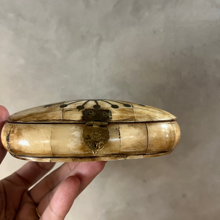 Vintage camel bone &amp; brass jewelry box