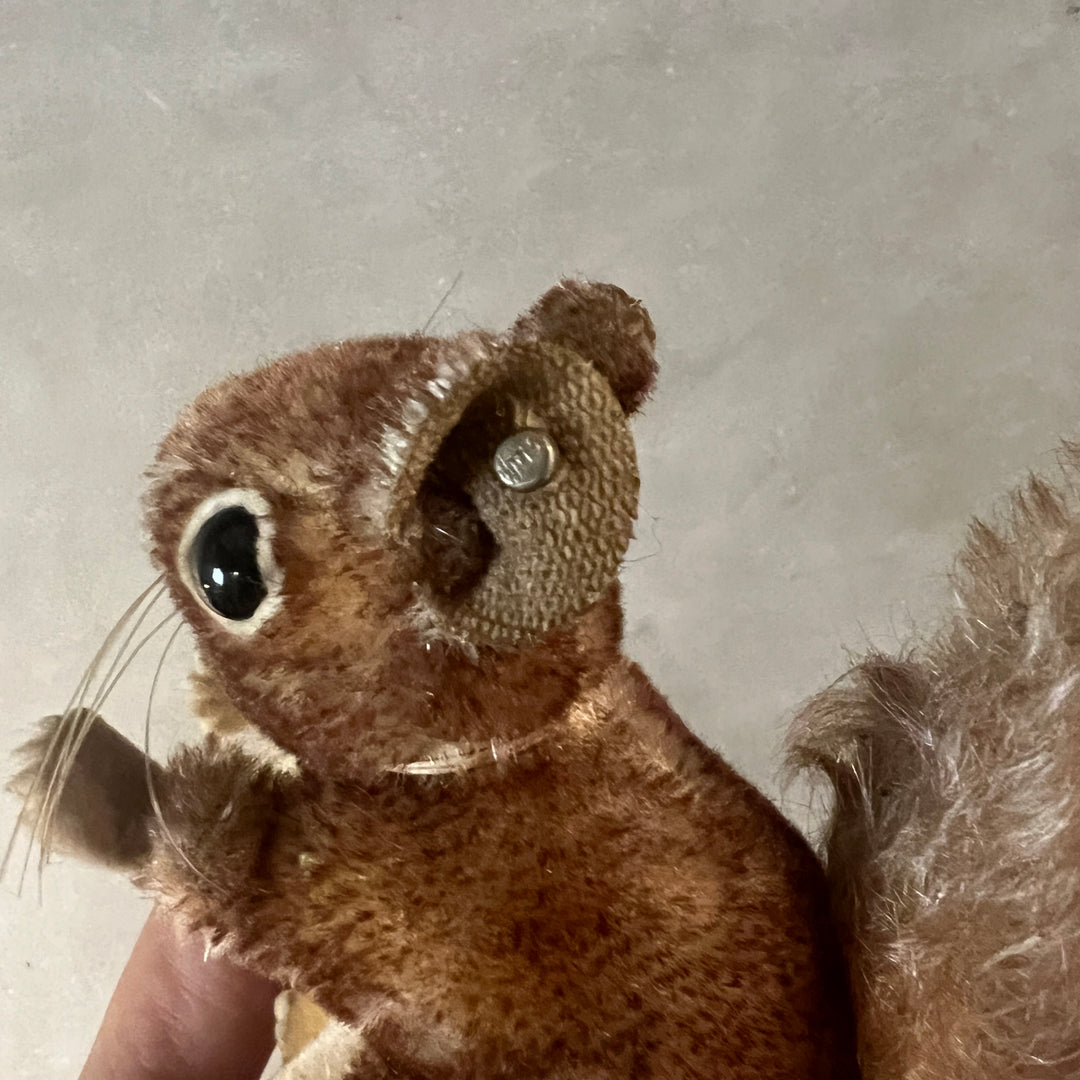 Antique perri squirrel mohair doll / Steiff ?