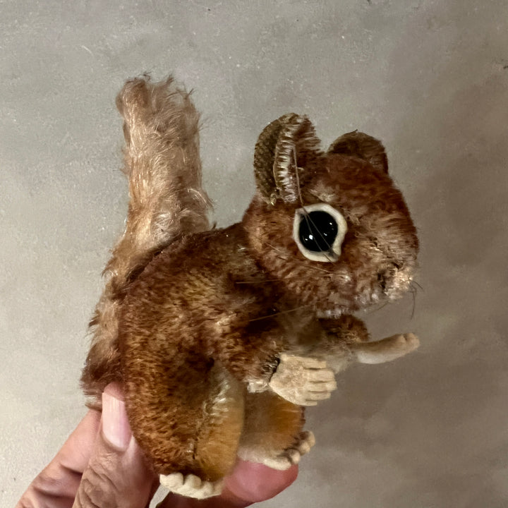 Antique perri squirrel mohair doll / Steiff ?