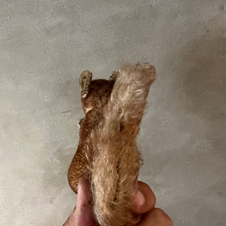 Antique perri squirrel mohair doll / Steiff?