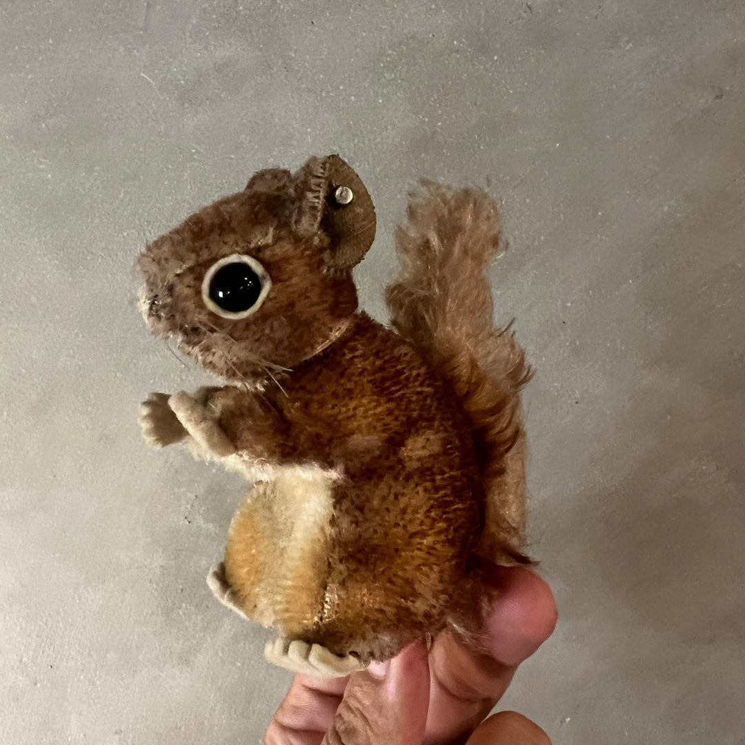 Antique perri squirrel mohair doll / Steiff?