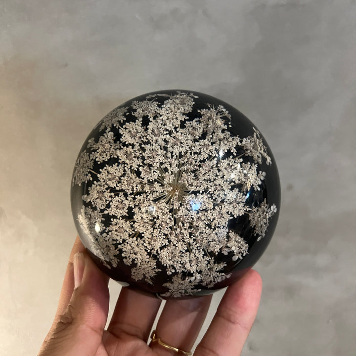 VINTAGE DRIED FLOWER LUCITE ACRYLIC DOME PAPERWEIGHT BLACK