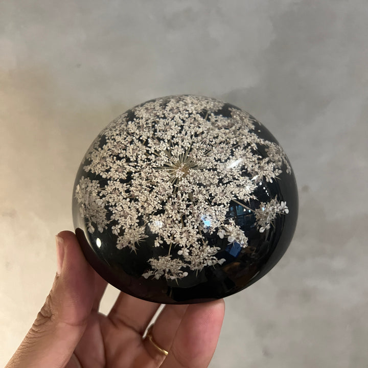 VINTAGE DRIED FLOWER LUCITE ACRYLIC DOME PAPERWEIGHT BLACK