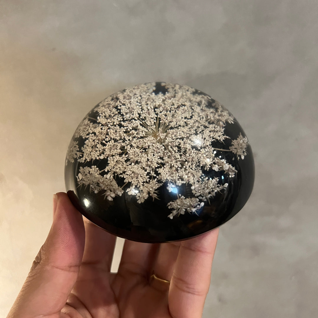 VINTAGE DRIED FLOWER LUCITE ACRYLIC DOME PAPERWEIGHT BLACK