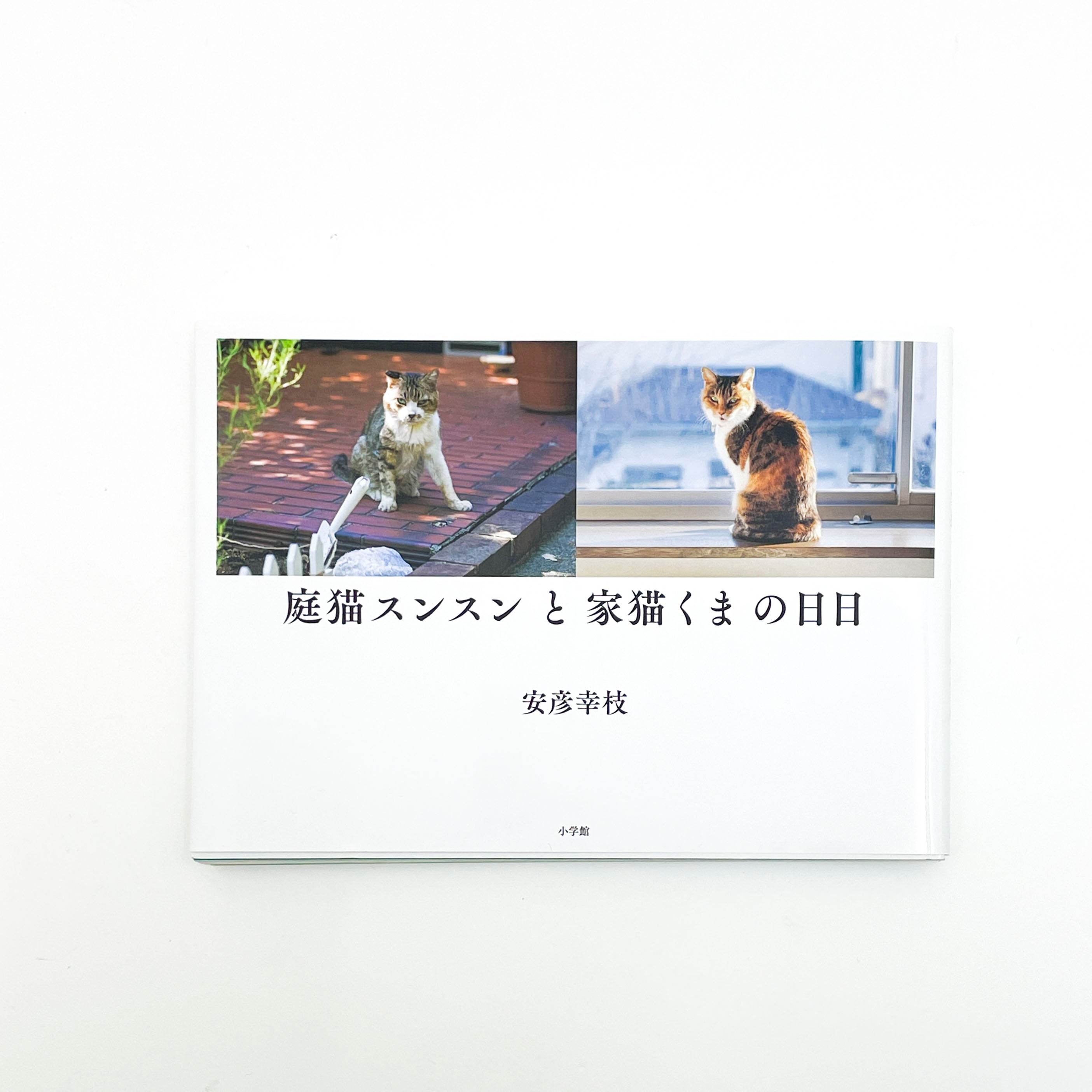 Aquvii（アクビ） | 庭猫スンスンと家猫くまの日日 | 安彦幸枝 著