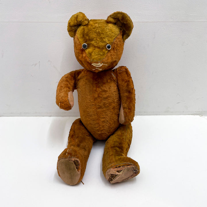 [antique bear] orange black eyes