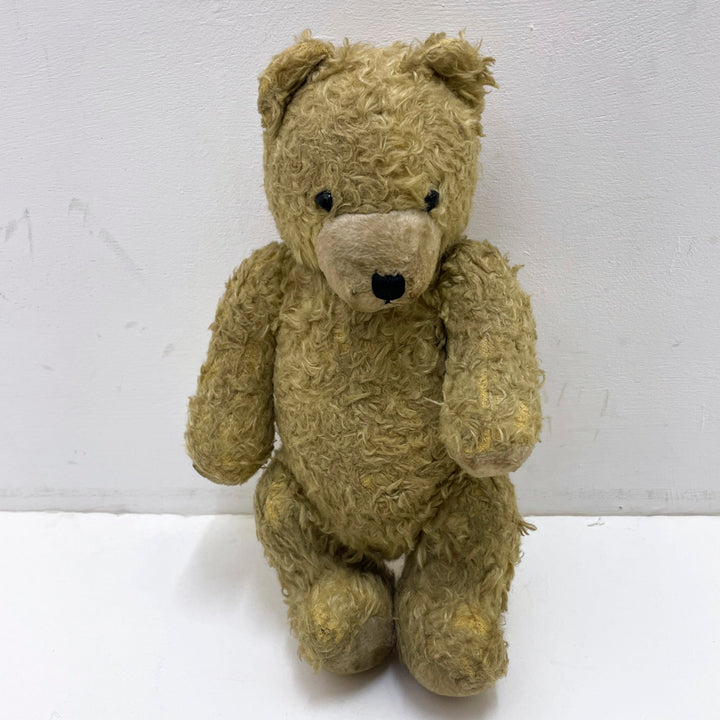 【antique bear】beige black eyes / from Hungary