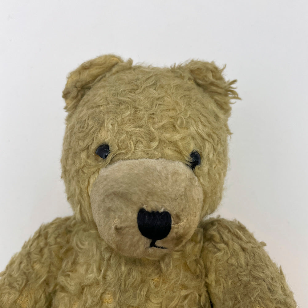 [antique bear] beige black eyes / from Hungary