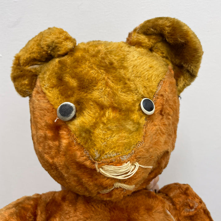 [antique bear] orange black eyes