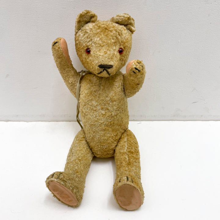 [antique bear] light beige red eyes / from Germany