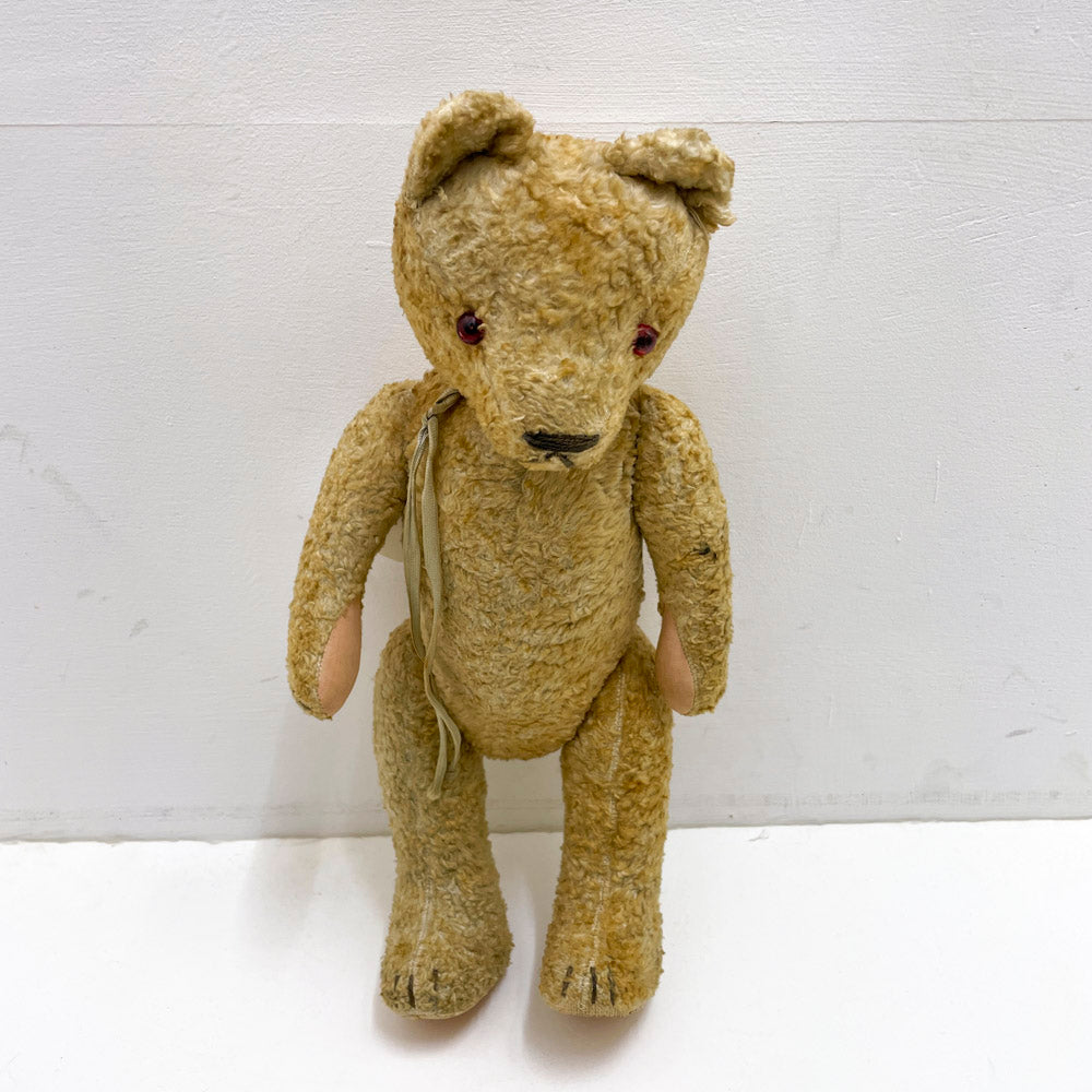 [antique bear] light beige red eyes / from Germany