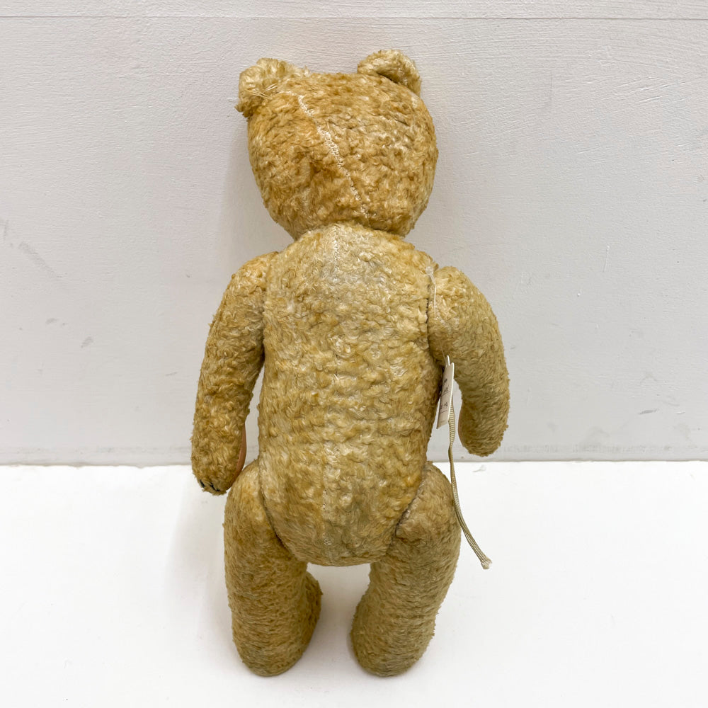 【antique bear】light beige red eyes  / from Germany