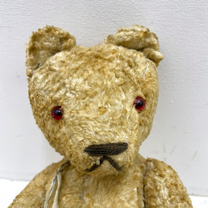 [antique bear] light beige red eyes / from Germany