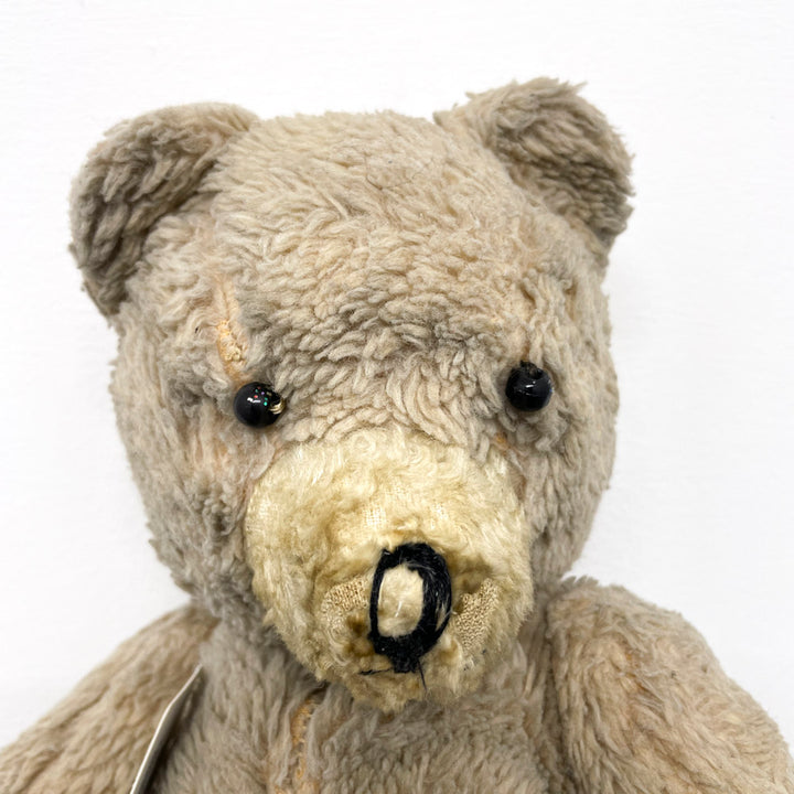 【antique bear】light beige black eyes / from Hungary