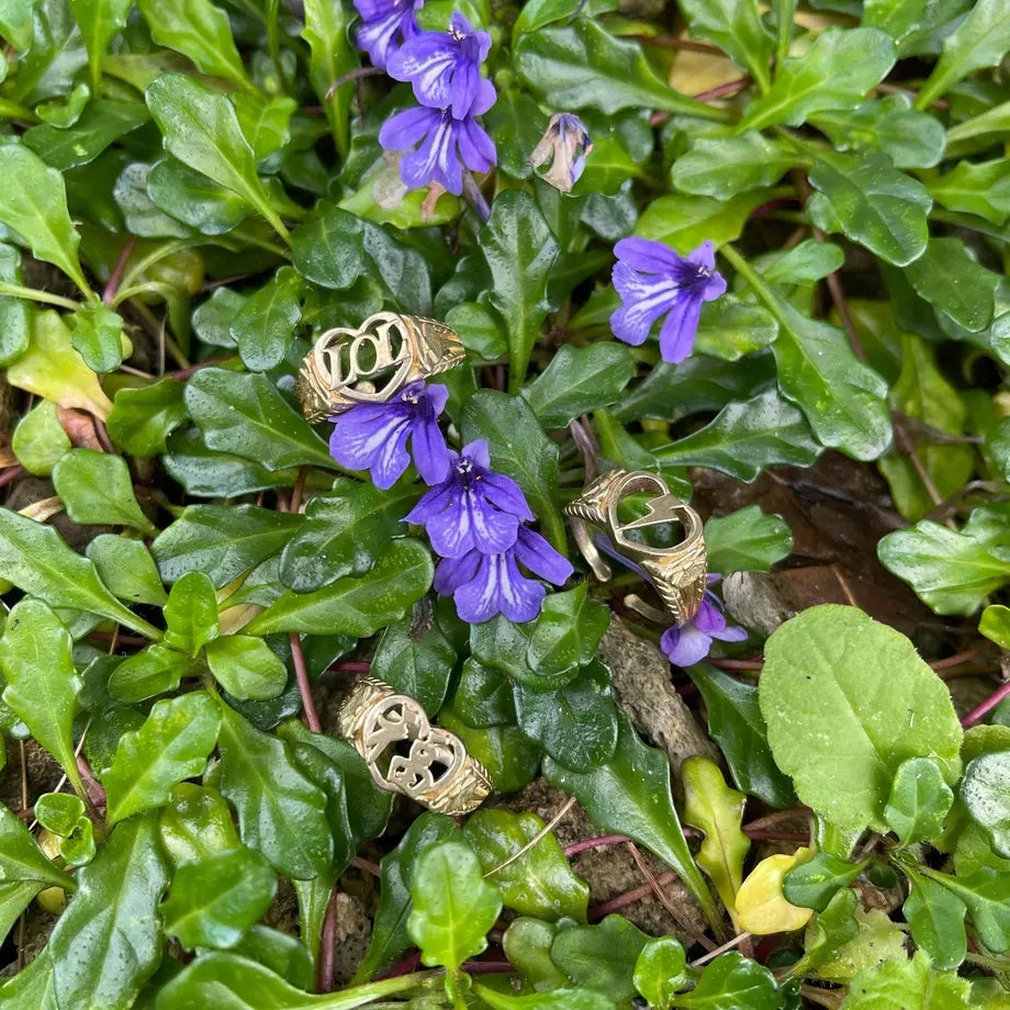 Leichsenring ライクセンリング 植木鉢の花 12種セット Leichsenring ライクセンリング 植木鉢の花 12種セット