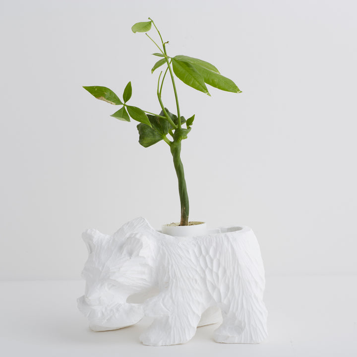 Plaster pot / Kibori Bear