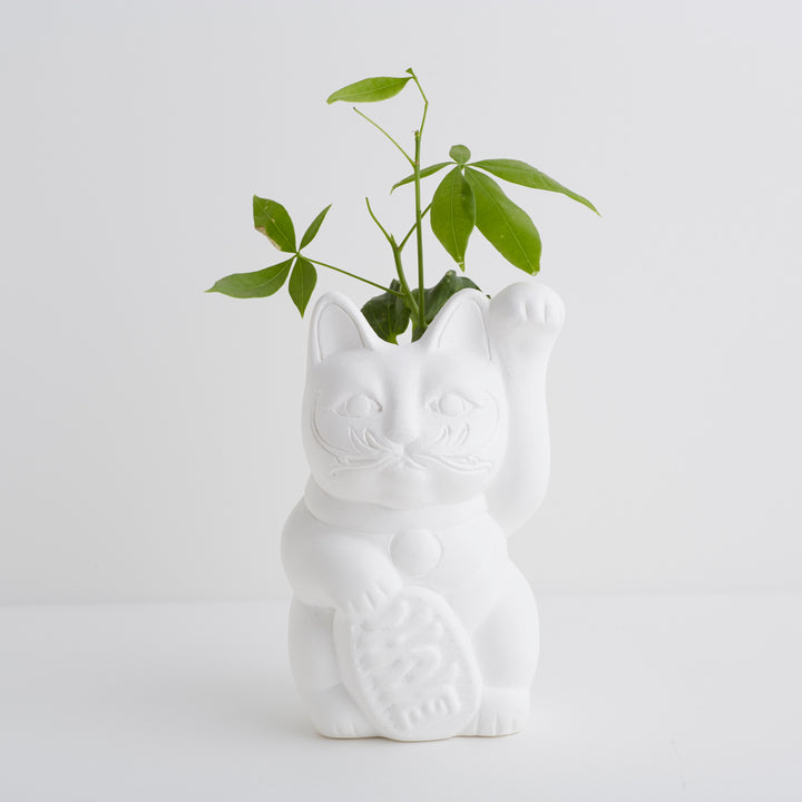 Plaster pot / Maneki cat