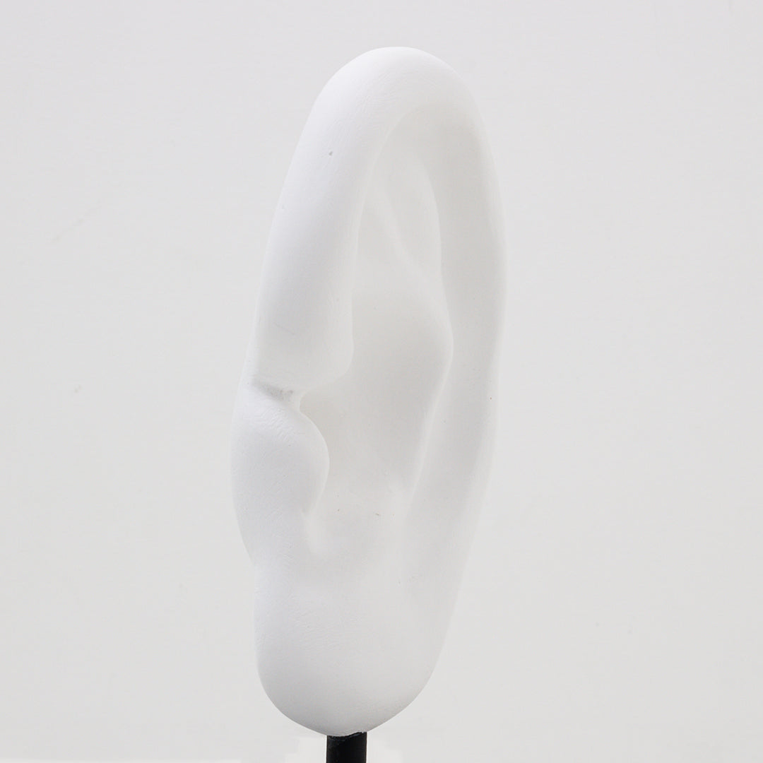 border ear【Trace of Stranger's】