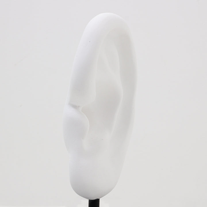 border ear【Trace of Stranger's】