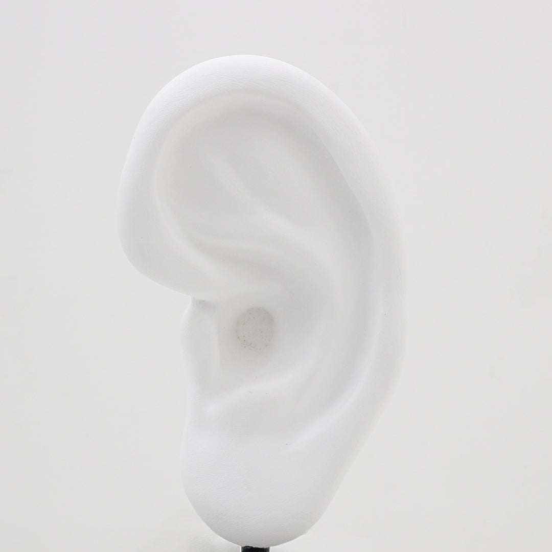 border ear【Trace of Stranger's】