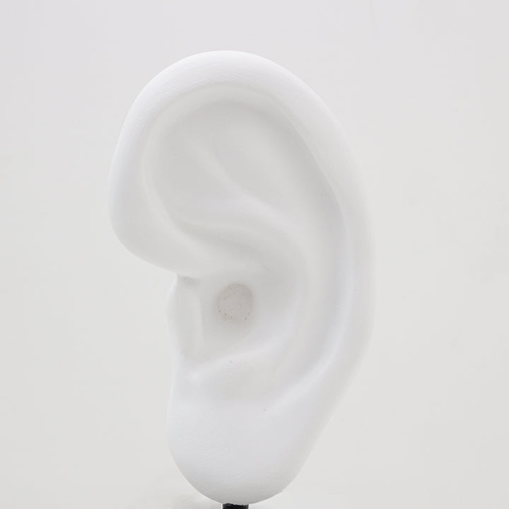 border ear【Trace of Stranger's】