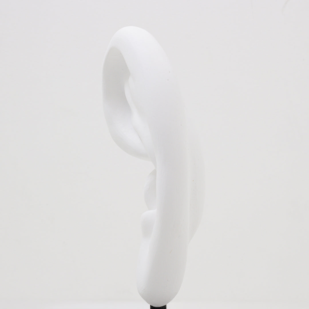 border ear【Trace of Stranger's】