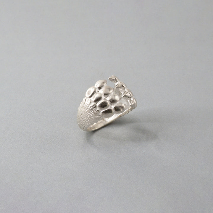 Cat claw ring SV925